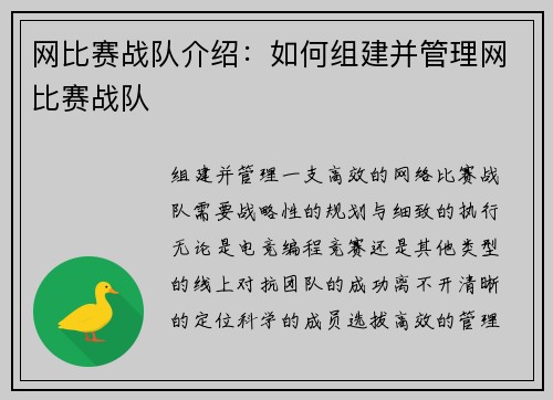 网比赛战队介绍：如何组建并管理网比赛战队